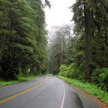 Another beautiful Humboldt County highway